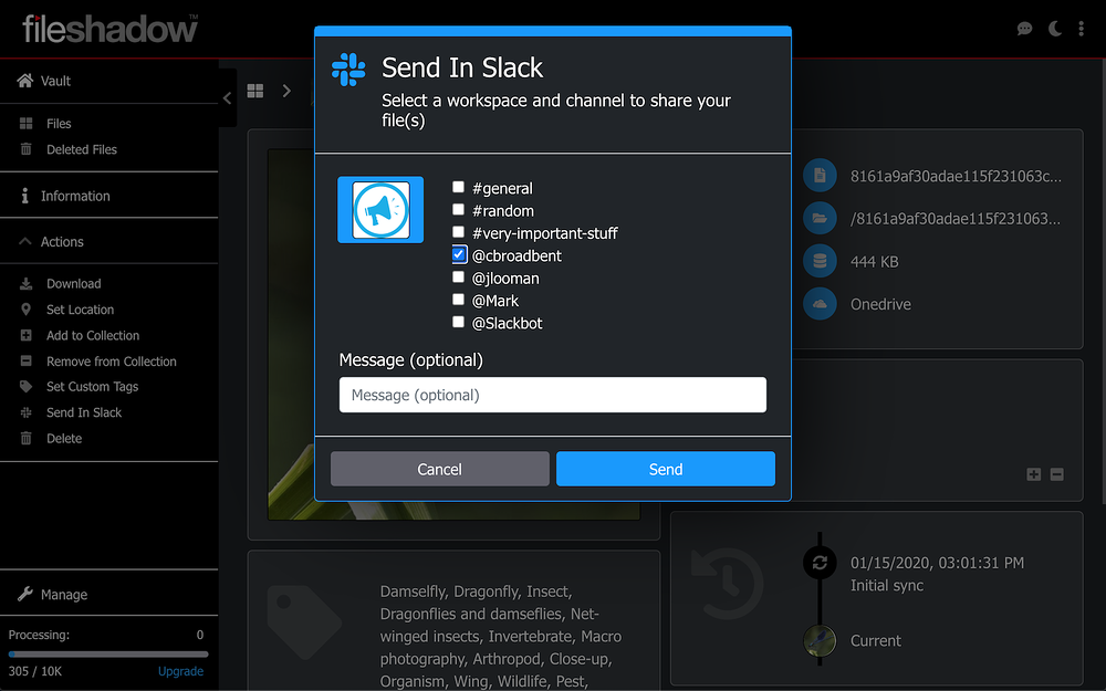 FileShadow for Slack